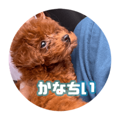 Suzu_20230128002408