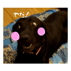 Sunny_20230128142010