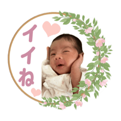 tomomi_20230128134119