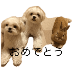 Kana_20230128112244