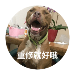 實用版（應該吧）