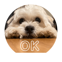 Mizuki_20230128201050