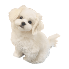 yozu_20230128185926