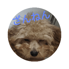 dogbell