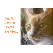 kimichan_20230129100612