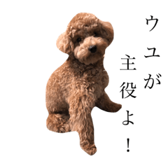 Natsumi_20230128192517