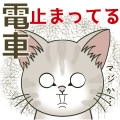 【雪の日の】仔猫のぽんにゃん【連絡に】