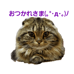 nao_20230128080447