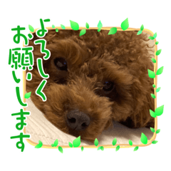 kuu_20230128202506