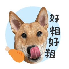 鳥鏈