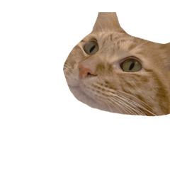 kuu_20230128191707