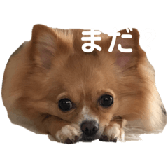 yun_20230128191729