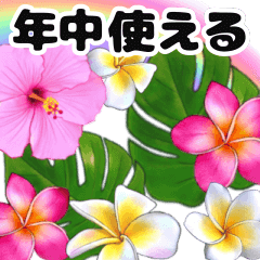 ハワイのお花と大人可愛い文字がずっと動く