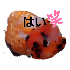 ako_20230128154527 – LINE stickers | LINE STORE