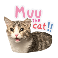 muu the cat