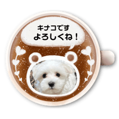 nao_20230129013734