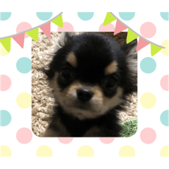YUTO_20230129115647