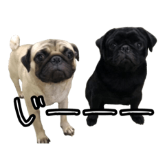 HARINANA_20230128222913