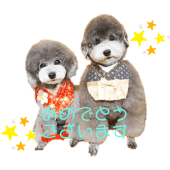 kana_20230129133735