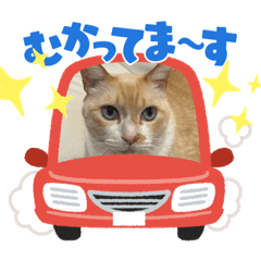 aoi_20230129202824