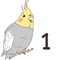 Cockatiel Sticker(normal)1