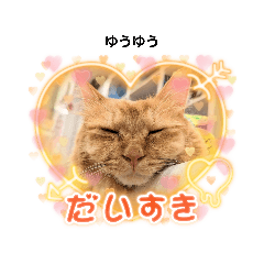 保護猫カフェさくら1号店スタンプ♡08