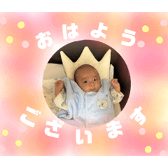 K family 01_
