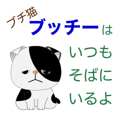 The cute black & white cat BUCHY Sticker