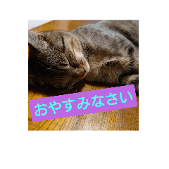 ririka_20230130004710