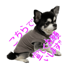 takuya_20230130134908