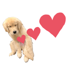 omochicyan_20230129224213