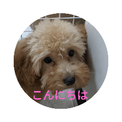 nao_20230130001514