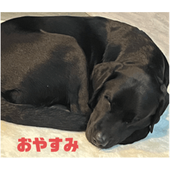 msk_20230130084205