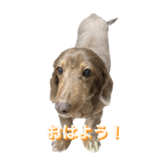 Idetch_20230129225603