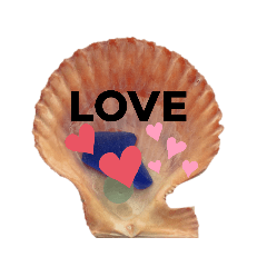 shell stamp 貝殻スタンプ