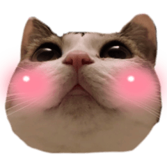 Ruby_20230131035403