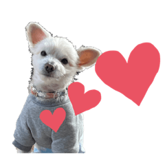 omochicyan_20230131070304