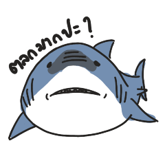 Cutieshark