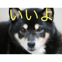 k.kureha_20230130173208