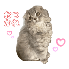 Yun_20230131082906