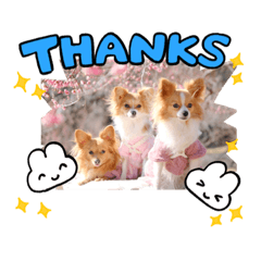 yukari_20230130210253