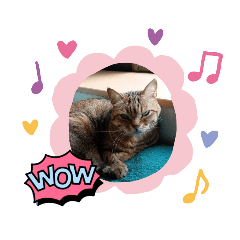 yukari_20230130221539