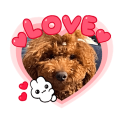 yuka_20230130211624