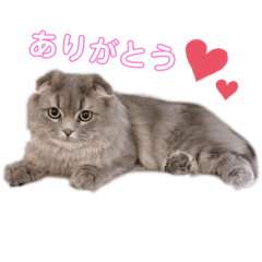Yun_20230130233626