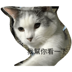 鮪魚今天有點累