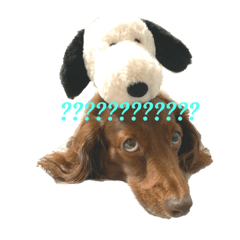 SAYURI_20230131122443