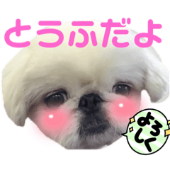 Ruby_20230130230543