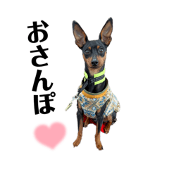 ARU -mini pin- ① - LINE スタンプ | LINE STORE