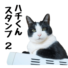 White and Black Cat Hachi-kun Sticker 2
