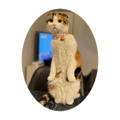 そらりんうみちゃんりくりく